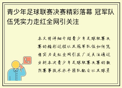 青少年足球联赛决赛精彩落幕 冠军队伍凭实力走红全网引关注