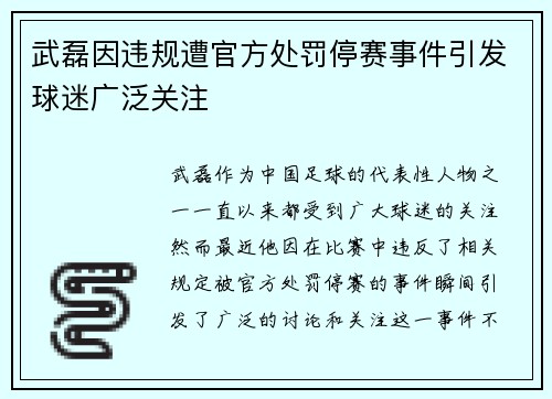 武磊因违规遭官方处罚停赛事件引发球迷广泛关注